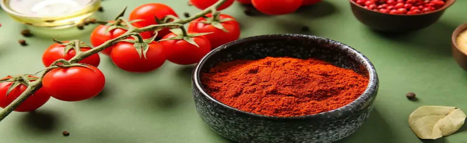 import export business in india 