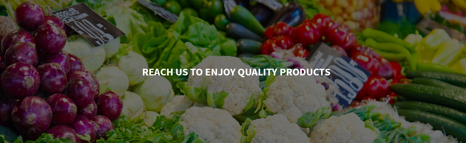 export companies in chennai 