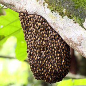 dry fruits importers in india