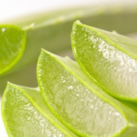 best export business in Chennai